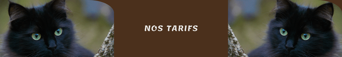 Chats - Banniere Tarifs
