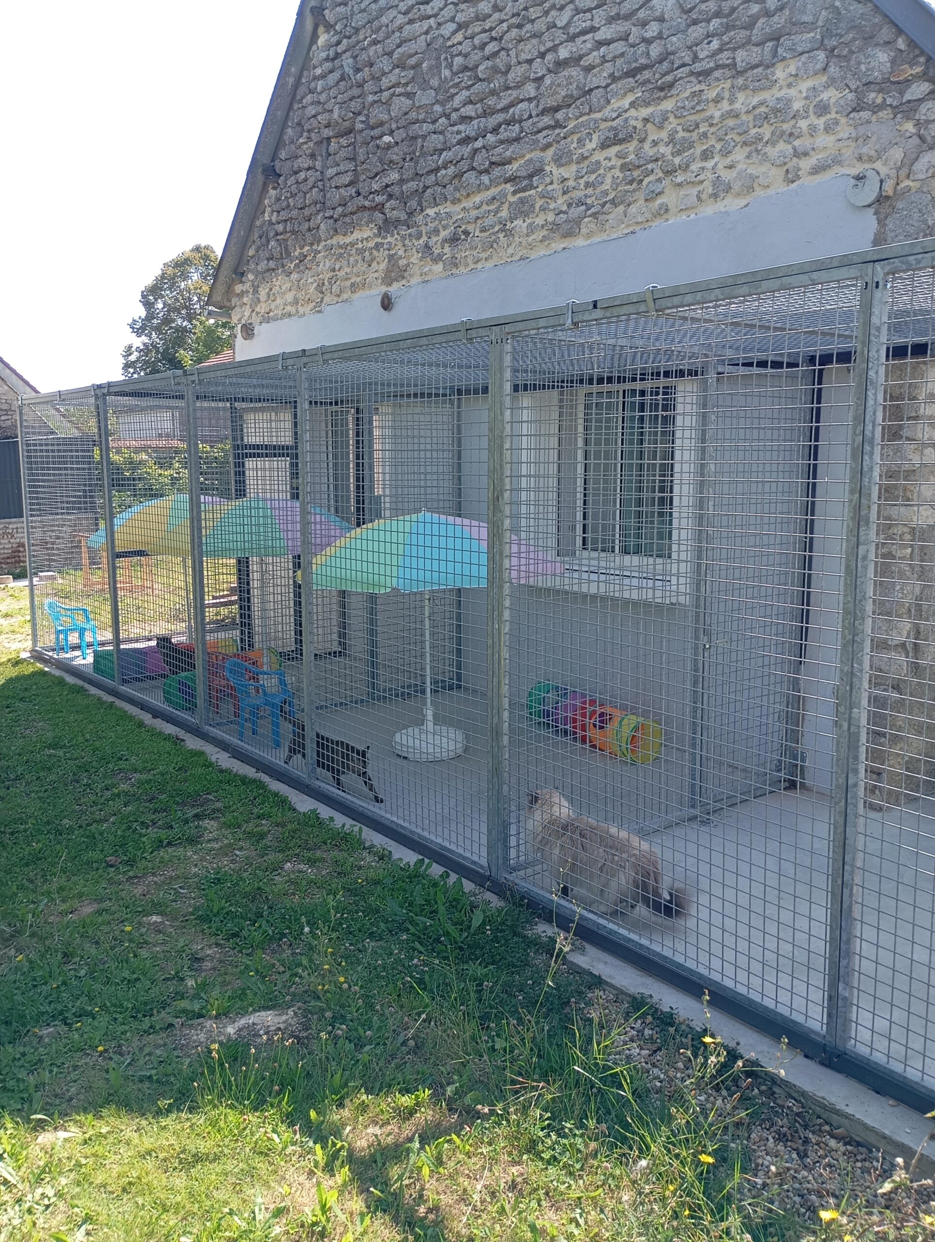 Vue panoramique des enclos extérieurs entièrement sécurisés du Moustaches Club, créant un espace idéal pour les chats en pleine nature