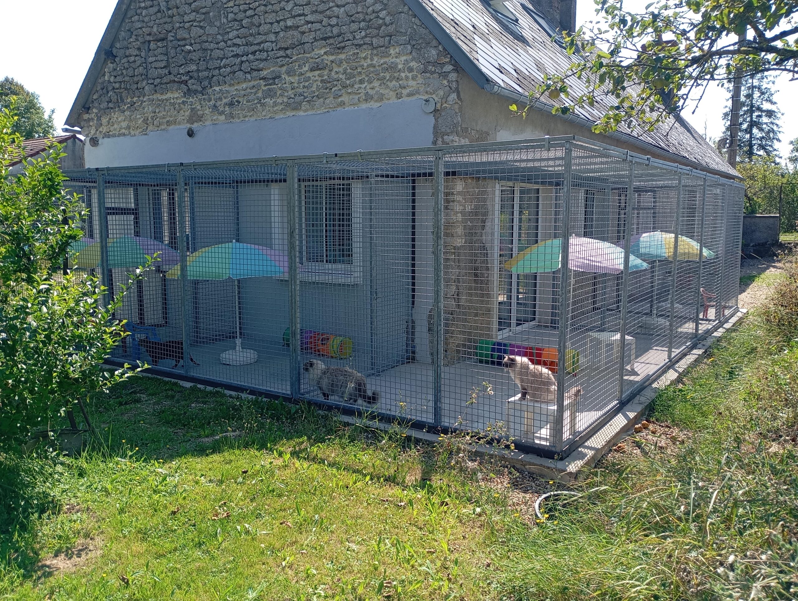 Vue d'ensemble des enclos extérieurs 100 % sécurisés du Moustaches Club, offrant un espace sûr et agréable pour les chats.