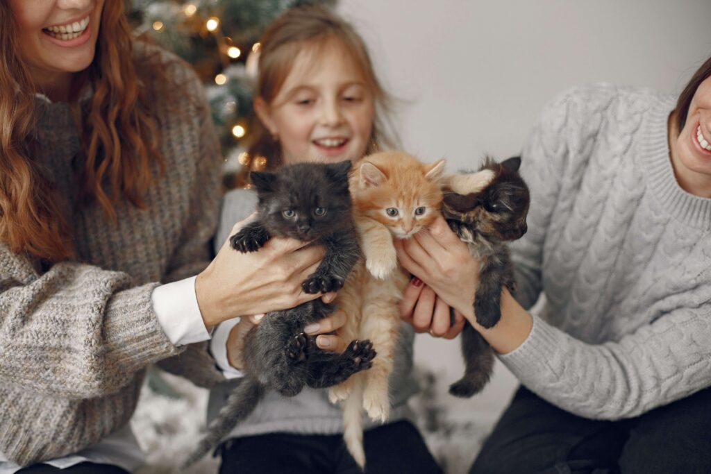 Famille tenant trois chatons, parfaits compagnons à adopter, lors d'une séance de jeux.