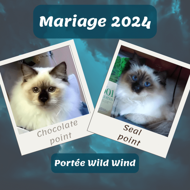 Grande nouvelle : Première naissance
