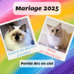 Cover portée arc en ciel